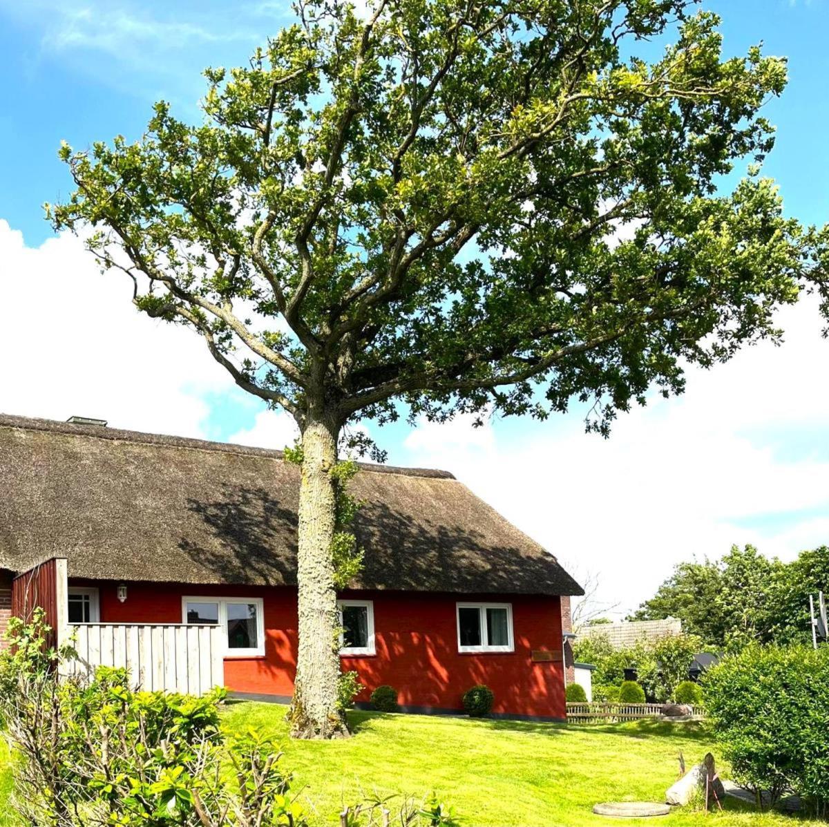Haus Hanna Dagebüll Extérieur photo